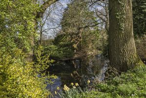 Photo 21- click for photo gallery